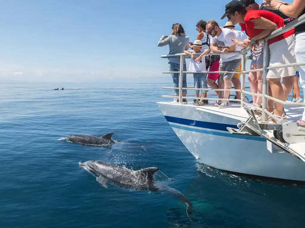 Your Exclusive Escape: Private Djerba Boat Tour