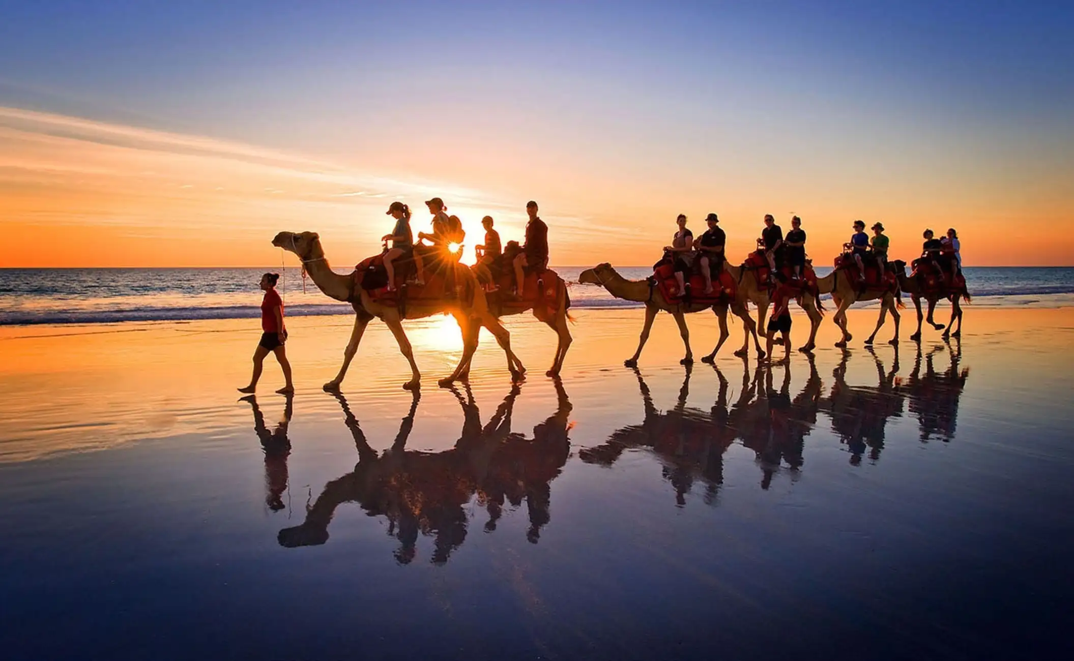 Camel Tour in Djerba